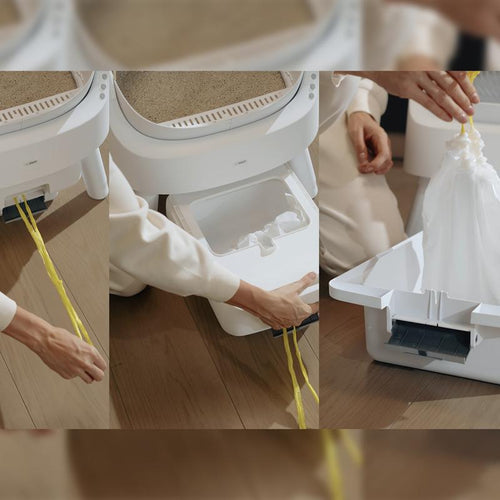 gleam Self-Cleaning Cat Litter Box