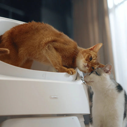 gleam Self-Cleaning Cat Litter Box