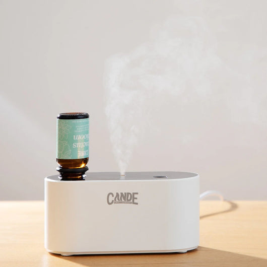 Waterless Fragrance Oil Diffuser Gift Set